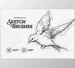 Download Sketch Brushes for Illustrator - 92539161