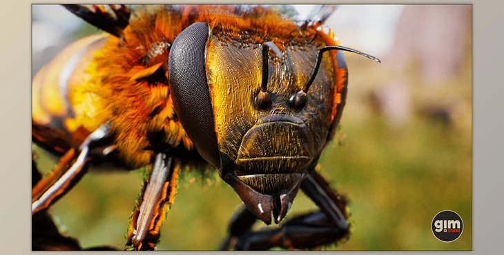 Download Unreal Engine - Animalia - Honeybee (Engine version 4.24- 4.27, 5.0- 5.2)