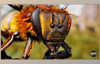 Download Unreal Engine - <span class='badge badge-warning'>Animalia</span> - Honeybee (Engine version 4.24- 4.27, 5.0- 5.2)