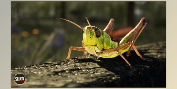 Download Unreal Engine - Animalia - Meadow Grasshopper (Engine version 4.20- 4.27, 5.0- 5.2)