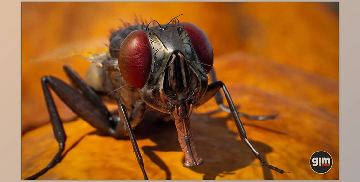 Download Unreal Engine - Characters Animalia - Housefly (Engine version 4.24-4.27, 5.0-5.2)