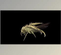 Download Unreal Engine - Characters DemonBug13 (Engine version 4.18-4.27, 5.0-5.2)
