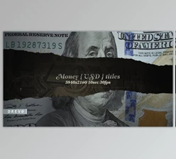 Download Money USD Titles/ Dollars USA/ Blockchain/ Banknotes and Bonds/ Business/ Economics/ Corporate/ $ (Videohive 40168515) - AE Project