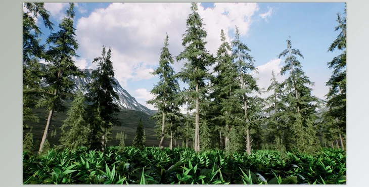 Download Unreal Engine - Spruce forest winter and summer (Engine version 4.26- 4.27, 5.0)