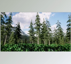 Download Unreal Engine - Spruce forest winter and summer (Engine version 4.26- 4.27, 5.0)