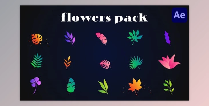 Download Colorful Flowers Pack for After Effects (Videohive 51999712) - AE Project