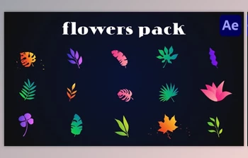 Download Colorful Flowers <span class='badge badge-warning'>Pack</span> for After Effects (<span class='badge badge-warning'>Videohive</span> 51999712) - AE Project