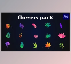 Download Colorful Flowers Pack for After Effects (Videohive 51999712) - AE Project