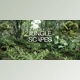 Download Blender Market – Jungle Scapes For Blender