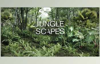 Download <span class='badge badge-warning'>Blender</span> Market – Jungle Scapes For <span class='badge badge-warning'>Blender</span>