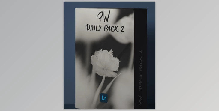 Download Polina Washington – PW DAILY PACK 2 – Lightroom Presets