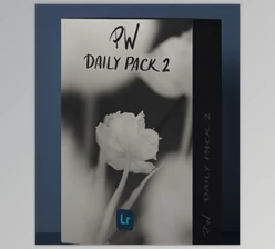 Download Polina Washington – PW DAILY PACK 2 – Lightroom Presets