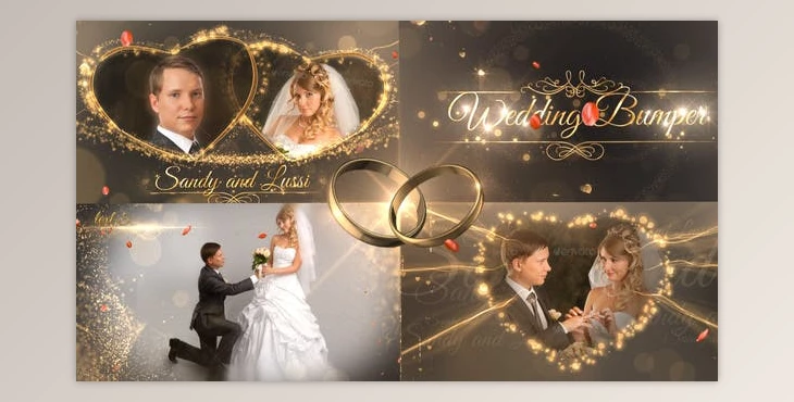 Download Wedding Package (Videohive 18844092) - AE Project