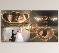 Download Wedding Package (Videohive 18844092) - AE Project
