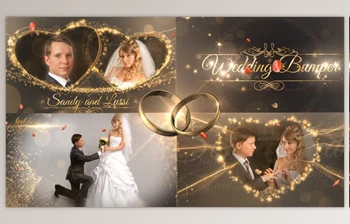 Download Wedding <span class='badge badge-warning'>Package</span> (<span class='badge badge-warning'>Videohive</span> 18844092) - AE <span class='badge badge-warning'>Project</span>