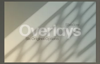 Download Sunlight Shadow Overlays <span class='badge badge-warning'>Mockups</span> - 91623695
