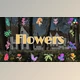 Download Flowers Pack for DaVinci Resolve (Videohive 48634910)