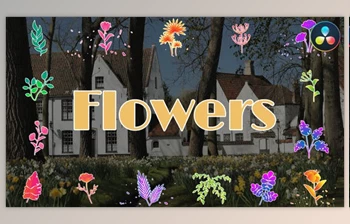 Download Flowers <span class='badge badge-warning'>Pack</span> for <span class='badge badge-warning'>DaVinci</span> <span class='badge badge-warning'>Resolve</span> (<span class='badge badge-warning'>Videohive</span> 48634910)