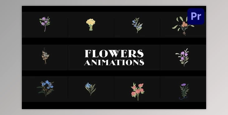 Download Flowers Falling Into Petals Animations for Premiere Pro (Videohive 52155619)