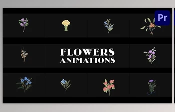 Download Flowers Falling Into Petals Animations for Premiere <span class='badge badge-warning'>Pro</span> (<span class='badge badge-warning'>Videohive</span> 52155619)