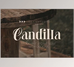 Download Candilla - Modern Serif