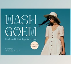 Download Washgoem - Modern & Serif Typeface Font