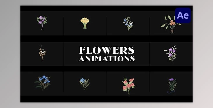 Download Flowers Falling Into Petals Animations for After Effects (Videohive 52155580) - AE Project