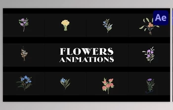 Download Flowers Falling Into Petals <span class='badge badge-warning'>Animations</span> for <span class='badge badge-warning'>After</span> <span class='badge badge-warning'>Effects</span> (Videohive 52155580) - AE Project