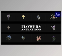 Download Flowers Falling Into Petals Animations for After Effects (Videohive 52155580) - AE Project