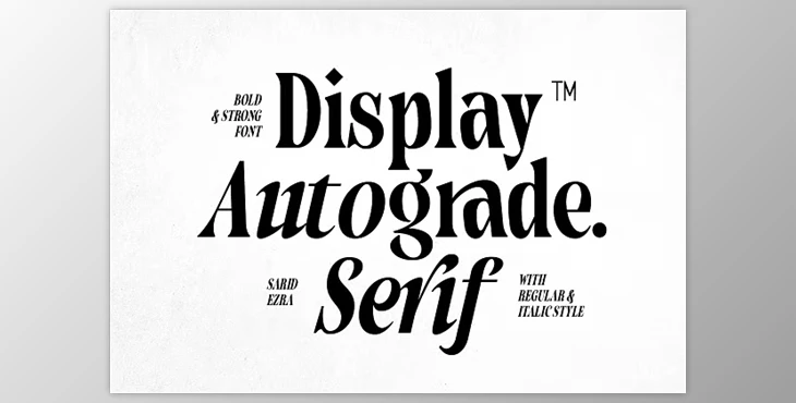 Download Autograde - Strong Bold Serif