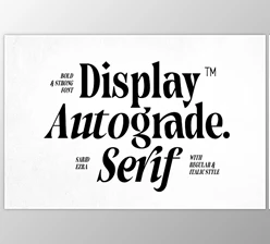 Download Autograde - Strong Bold Serif