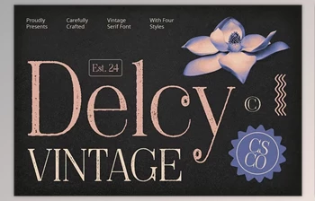 Download Delcy Vintage <span class='badge badge-warning'>Font</span>