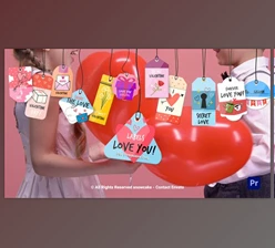 Download Labels Love You For Premiere Pro (Videohive 52109098)