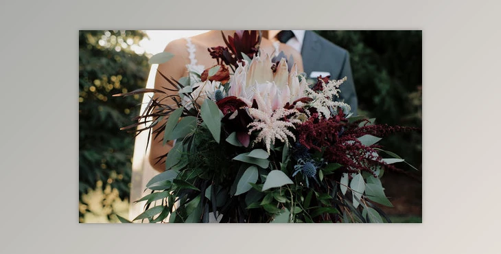 Download White In Revery – Timbre LUTs – Professional Color Grading LUTs (Win, Mac)