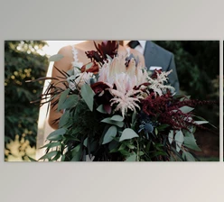 Download White In Revery – Timbre LUTs – Professional Color Grading LUTs (Win, Mac)