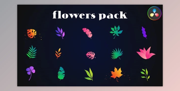 Download Colorful Flowers Pack for DaVinci Resolve (Videohive 52077308)