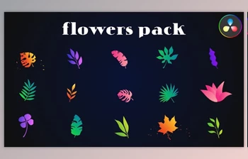 Download Colorful Flowers <span class='badge badge-warning'>Pack</span> for <span class='badge badge-warning'>DaVinci</span> <span class='badge badge-warning'>Resolve</span> (<span class='badge badge-warning'>Videohive</span> 52077308)