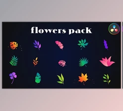 Download Colorful Flowers Pack for DaVinci Resolve (Videohive 52077308)