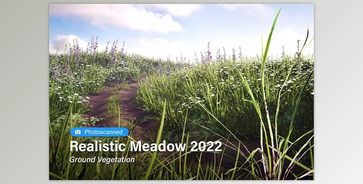 Download Unity Assets - Realistic Meadow 2022 - Ground Vegetation v2022.0.1