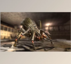 Download Unity 3D-Models Bomber Bug - Explosive Insect Monster - Fantasy RPG v4.2
