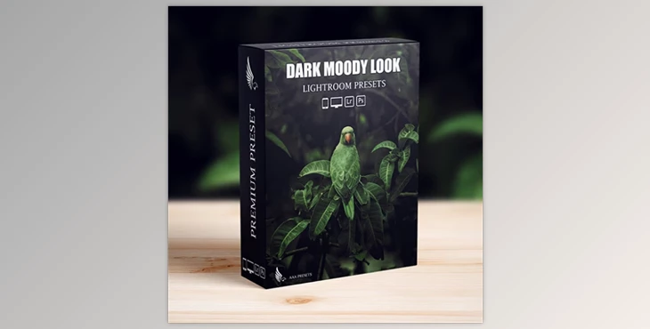 Download Dark Moody New Look Lightroom Presets Pack - 52396382