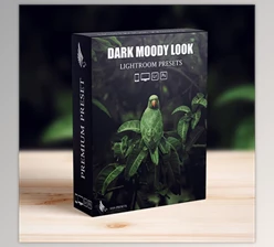 Download Dark Moody New Look Lightroom Presets Pack - 52396382