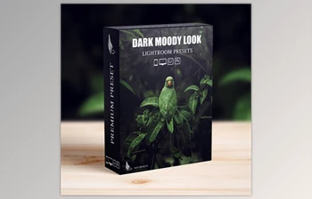 Download Dark Moody <span class='badge badge-warning'>New</span> Look Lightroom Presets Pack - 52396382