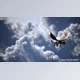 Download Unreal Engine - Clouds Generator - Niagara Fluids (Engine Version 5.3, 5.4)