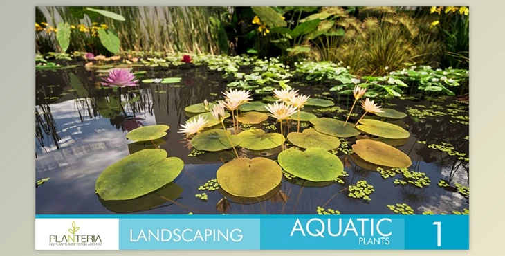 Download Unreal Engine - Landscaping Aquatic Plants (Engine Version 5.1, 5.3)