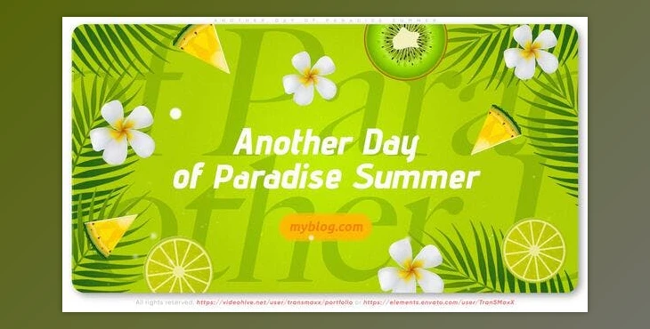 Download Another Day of Paradise Summer (Videohive 52911491) - AE Project