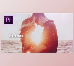 Download Love Gallery (Videohive 22258576) - PR Project