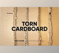 Download 25 Ripped Cardboard Overlay - 278871995