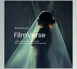 Colorist Foundry - Download FilmVerse Full Plugin v2.1 for Davinci Resolve