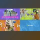 Download Colorful Urban Slides for FCPX (Videohive 53364752)